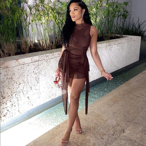 Brown Mesh Tie up Dress - Picture 2 of 2